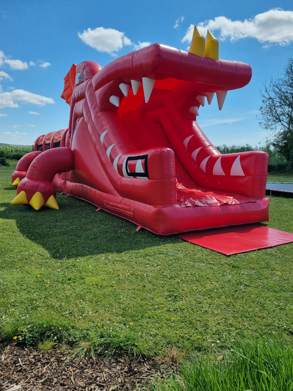 Red Dragon Mega Slide